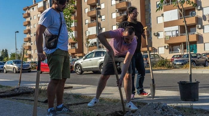 Posađeno prvo drveće u Podgorici Posađeno prvo drveće u Podgorici