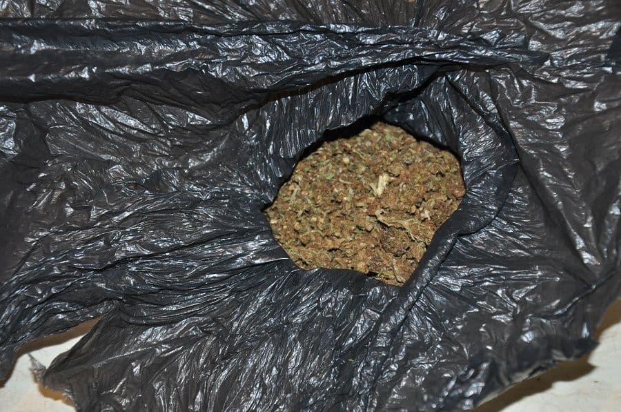 Tri osobe uhapšene, presječen lanac trgovine marihuanom Tri osobe uhapšene, presječen lanac trgovine marihuanom