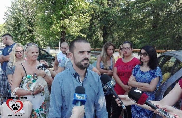 NVO Prijatelji životinja: U Crnoj Gori se životinje svakodnevno truju i ubijaju NVO Prijatelji životinja: U Crnoj Gori se životinje svakodnevno truju i ubijaju