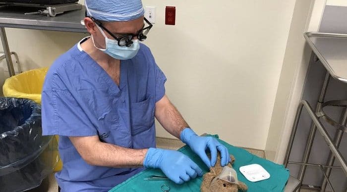 Doktor operisao dječaka i njegovog plišanog medvjeda Doktor operisao dječaka i njegovog plišanog medvjeda