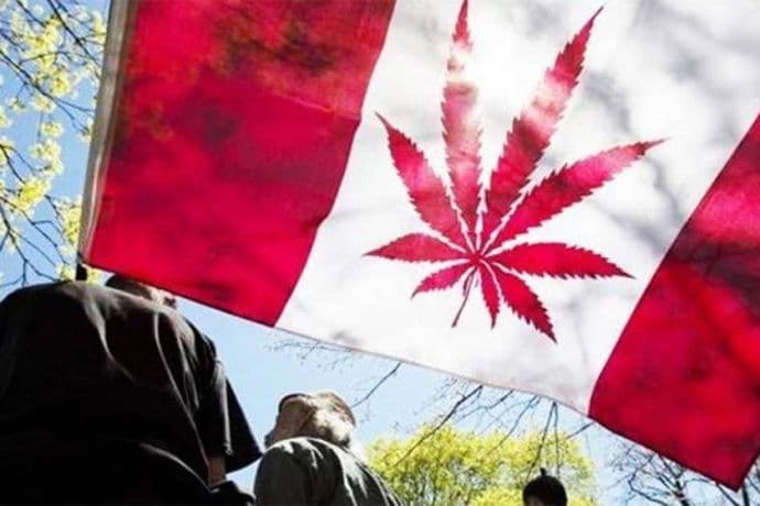 Posljednje pripreme pred legalizaciju kanabisa u Kanadi Posljednje pripreme pred legalizaciju kanabisa u Kanadi