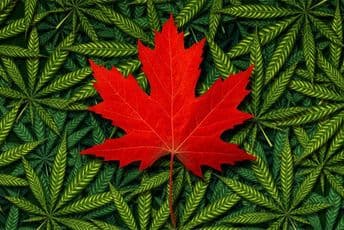 Aktivista Demokrata priveden zbog kupovine džointa Aktivista Demokrata priveden zbog kupovine džointa