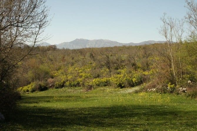 Konzorcijum EPCG i Fortum dao najbolju ponudu za Brisku Goru Konzorcijum EPCG i Fortum dao najbolju ponudu za Brisku Goru