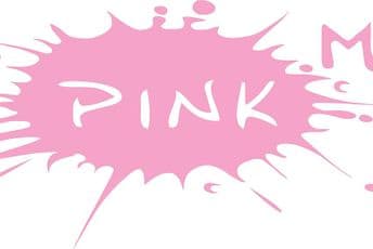 Više od 100.000 građana potpisalo peticiju protiv Pinka i Hepija Više od 100.000 građana potpisalo peticiju protiv Pinka i Hepija