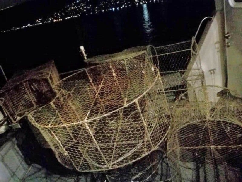 Za tri sata izvađeno 15 vrša i preko 1200 metara mreže Za tri sata izvađeno 15 vrša i preko 1200 metara mreže