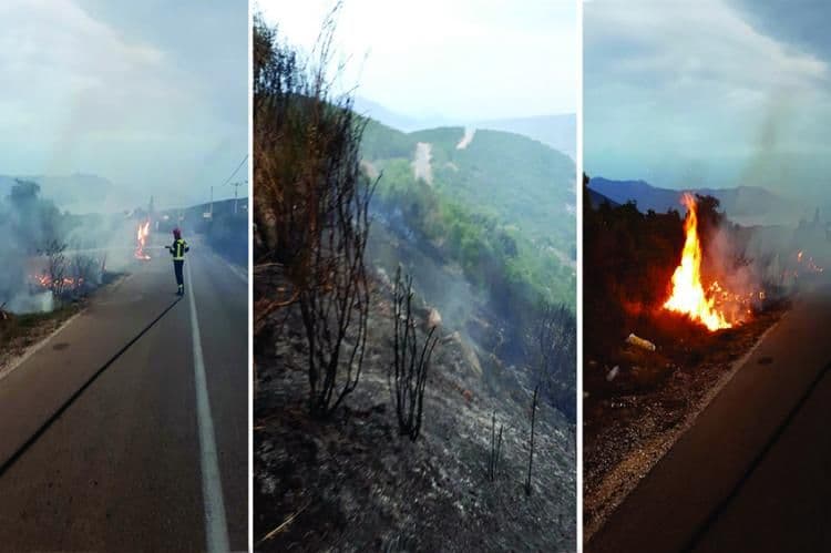 Šumski požar izbio u Donjem Grblju Foto: Skala radio