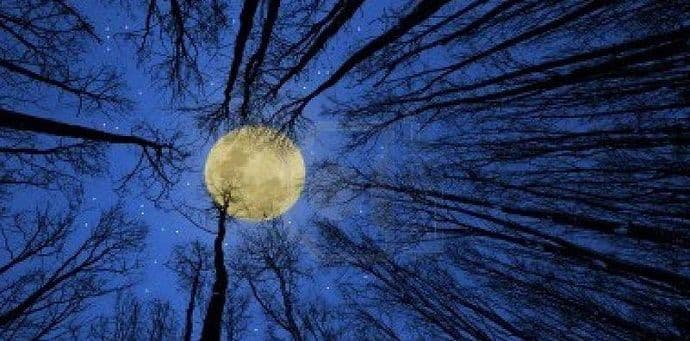 Nedjeljni bioritam (17. jun - 23. jun) Nedjeljni bioritam (17. jun - 23. jun)