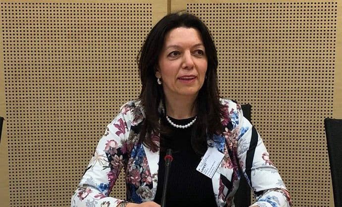 Tatjana Anđelić predsjedavajuća Ad hoc Komiteta Savjeta Evrope Tatjana Anđelić predsjedavajuća Ad hoc Komiteta Savjeta Evrope