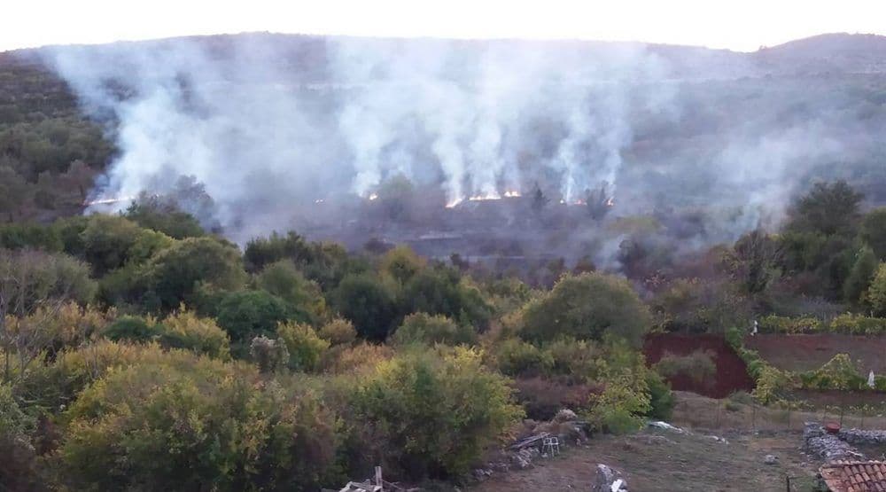 Ko podmeće požare u Donjem Grblju? Ko podmeće požare u Donjem Grblju?