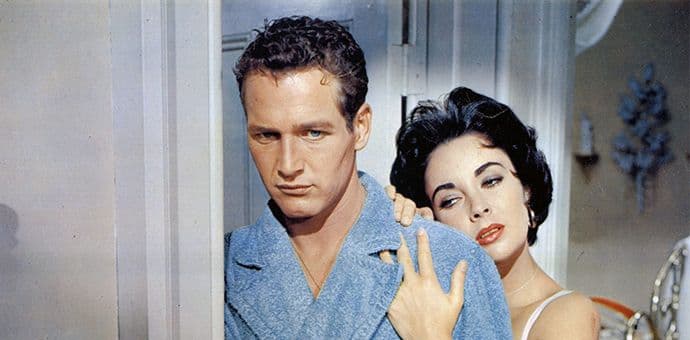 Mačka nad mačkama Mačka nad mačkama