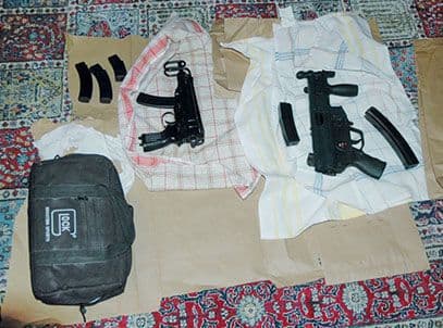 Petrović na slobodi Petrović na slobodi