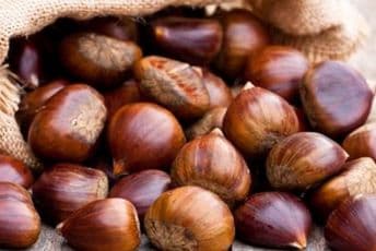 Kesten – izvor vitamina i minerala Kesten – izvor vitamina i minerala