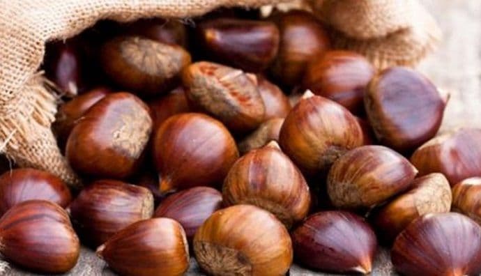 Potražnja za kestenom raste, u SAD-u kilogram gotovo 8 eura! Potražnja za kestenom raste, u SAD-u kilogram gotovo 8 eura!