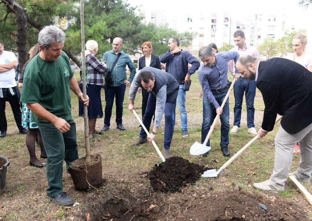 Posađena prva stabla u okviru aplikacije “Moje drvo” Posađena prva stabla u okviru aplikacije “Moje drvo”