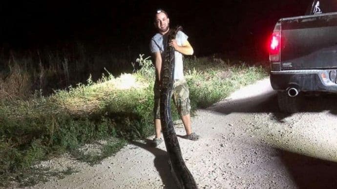 Uhvatili pitona rekordera: Dug je čak pet metara i težak 54 kg Uhvatili pitona rekordera: Dug je čak pet metara i težak 54 kg