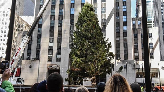 Njujorška jelka stigla u Rokfeler centar Njujorška jelka stigla u Rokfeler centar