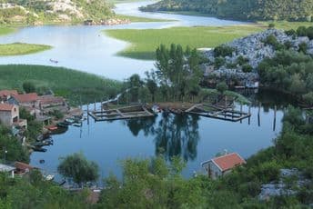 Cetinjski vatrogasci ugaslili veliki požar na Karuču Ilustracija