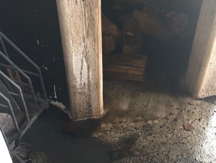 Gorio dimnjak u piceriji Gorio dimnjak u piceriji