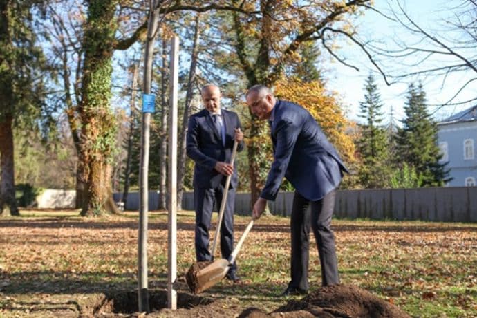 Univerzitet Crne Gore poklonio Cetinjanima sadnice lipe Univerzitet Crne Gore poklonio Cetinjanima sadnice lipe