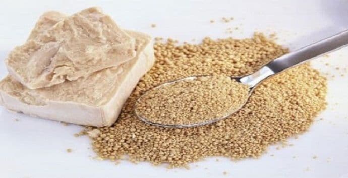 Pivski kvasac štiti jetru i ublažava teškoće sa varenjem Pivski kvasac štiti jetru i ublažava teškoće sa varenjem