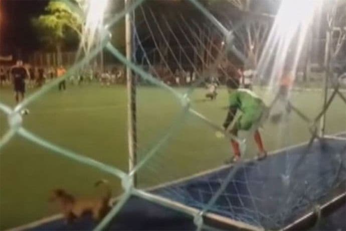 Pas odbranio penal (VIDEO) Pas odbranio penal (VIDEO)