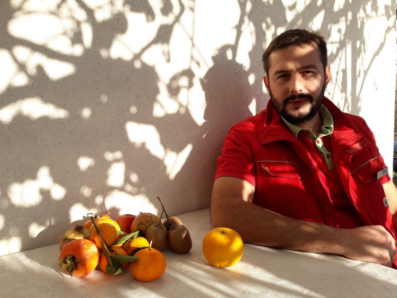 Organski uzgoj voća je jako dobar za naše male rascjepkane posjede Organski uzgoj voća je jako dobar za naše male rascjepkane posjede