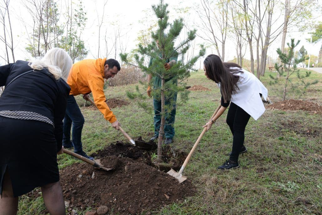 Ljubović bogatiji za 100 sadnica Ljubović bogatiji za 100 sadnica