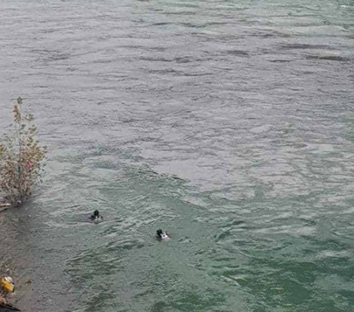 Ronioci tragaju za ženskom osobom koja je juče skočila sa Vezirovog mosta Ronioci tragaju za ženskom osobom koja je juče skočila sa Vezirovog mosta