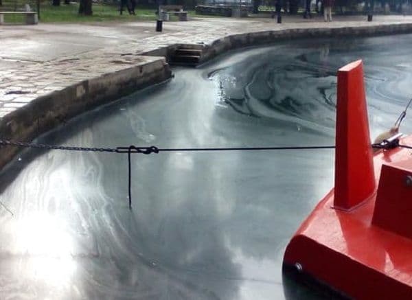 Jestivo ulje u kotorskoj rijeci se izlilo iz škole Jestivo ulje u kotorskoj rijeci se izlilo iz škole