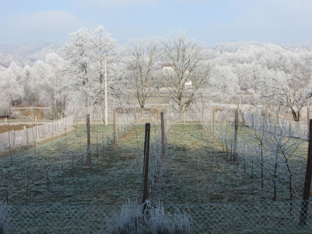Šta se od poljoprivrednih poslova radi u decembru Šta se od poljoprivrednih poslova radi u decembru