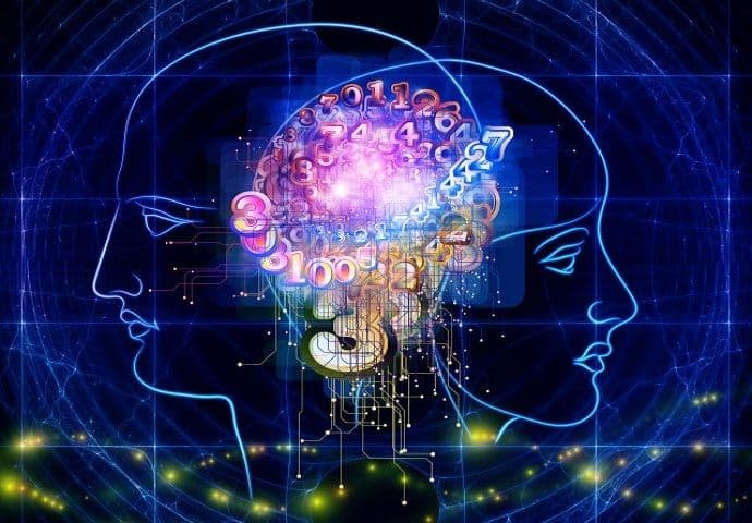 Naučnici tvrde: Pol potiče iz mozga, a ne od genitalija Naučnici tvrde: Pol potiče iz mozga, a ne od genitalija