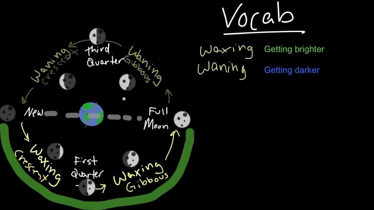 Nedjeljni bioritam (29. jul - 03. avgust) Nedjeljni bioritam (29. jul - 03. avgust)