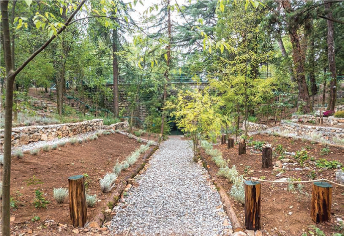 Utoplili kamelije i jagode, uskoro će presaditi hrastove Utoplili kamelije i jagode, uskoro će presaditi hrastove