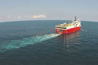 Završen post-seizmički monitoring morske faune Završen post-seizmički monitoring morske faune