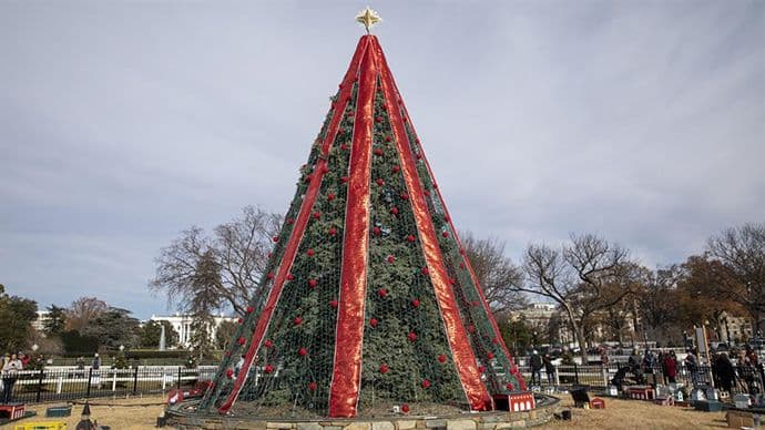 Popeo se na božićnu jelku ispred Bijele kuće, pa završio na psihijatriji Popeo se na božićnu jelku ispred Bijele kuće, pa završio na psihijatriji