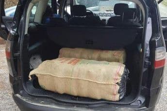 Za 10 mjeseci oduzeto 1.880 kg droge Za 10 mjeseci oduzeto 1.880 kg droge