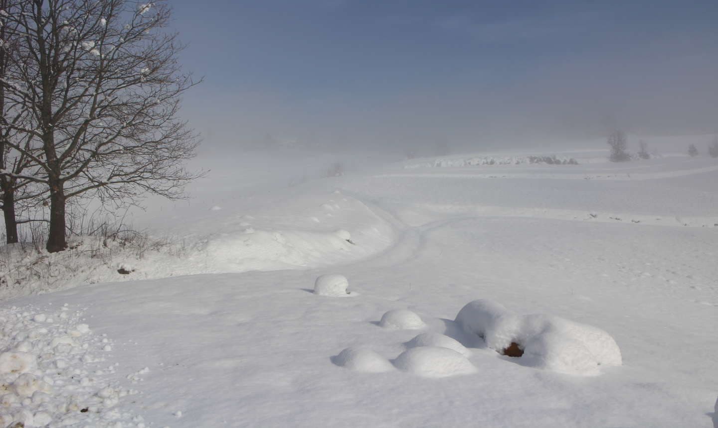 Pogledajte kakvo nas vrijeme očekuje Pogledajte kakvo nas vrijeme očekuje