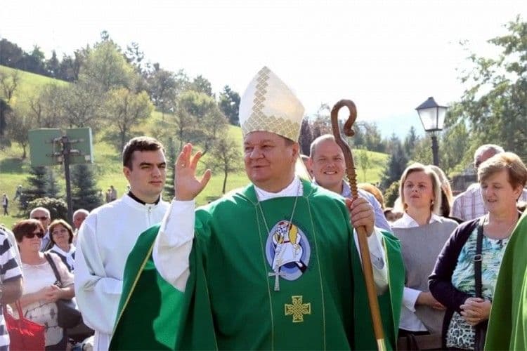 Pucao u divlju svinju pa teško ranio kolegu Foto: N.N.