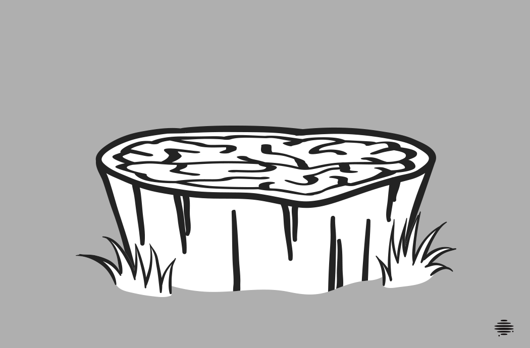 Izbačaji: PANJAT Izbačaji: PANJAT