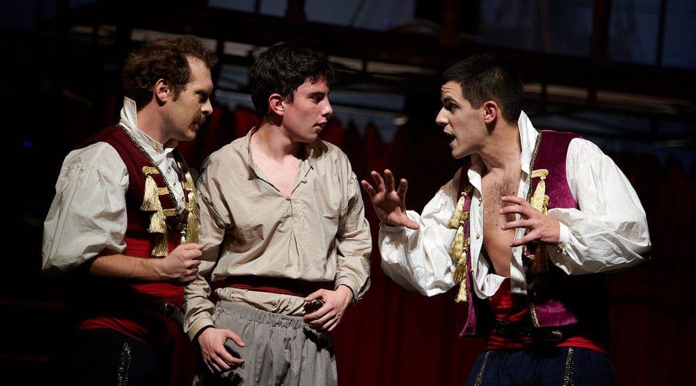 Predstava "Mali pirat" 26. januara u KIC-u Foto: Duško Miljanić