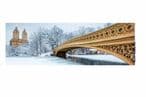 5c4ba162-3d78-4685-a568-11820a0a0a64-bow-bridge-in-central-park-new-york-city.jpg
