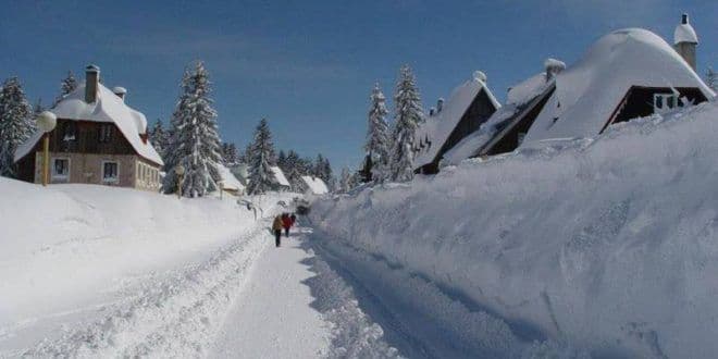 Na Žabljaku skoro metar snijega Na Žabljaku skoro metar snijega