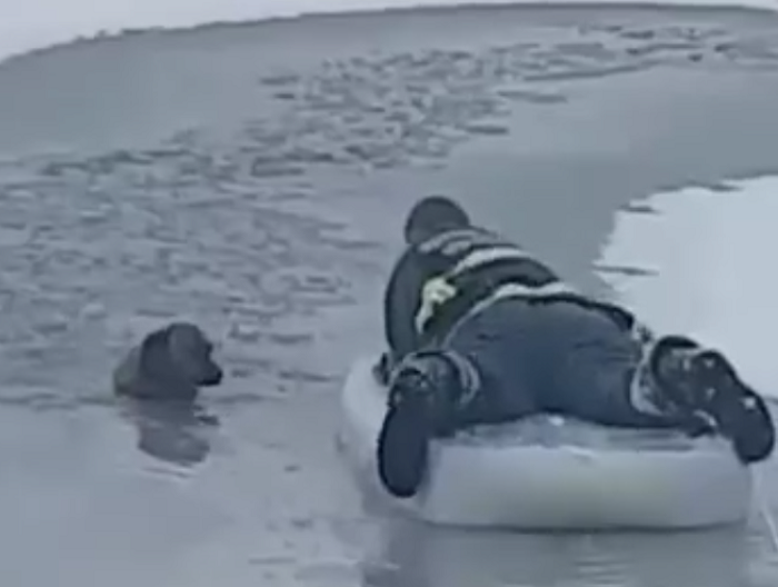 Hrabri vatrogasac spasio psa iz ledene vode Hrabri vatrogasac spasio psa iz ledene vode