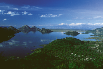 Vladi predloženo - isušivanje Skadarskog jezera Vladi predloženo - isušivanje Skadarskog jezera