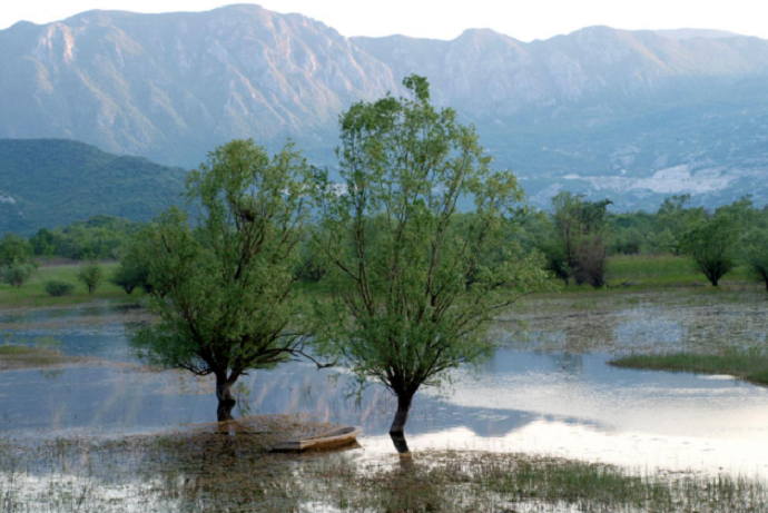 skadarsko-jezero-3