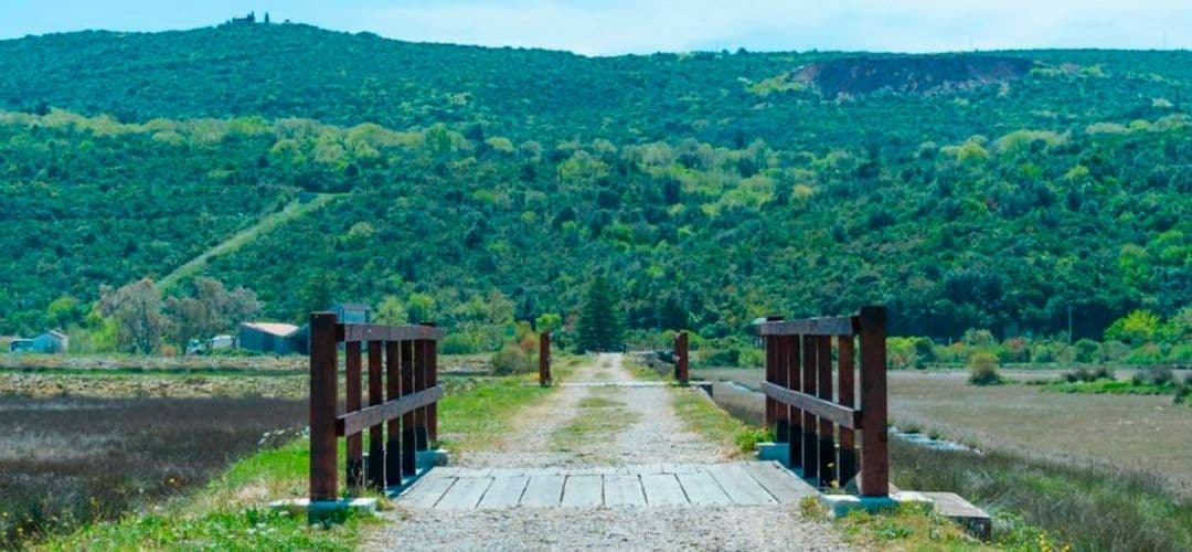 Međunarodni dan močvarnih staništa Međunarodni dan močvarnih staništa