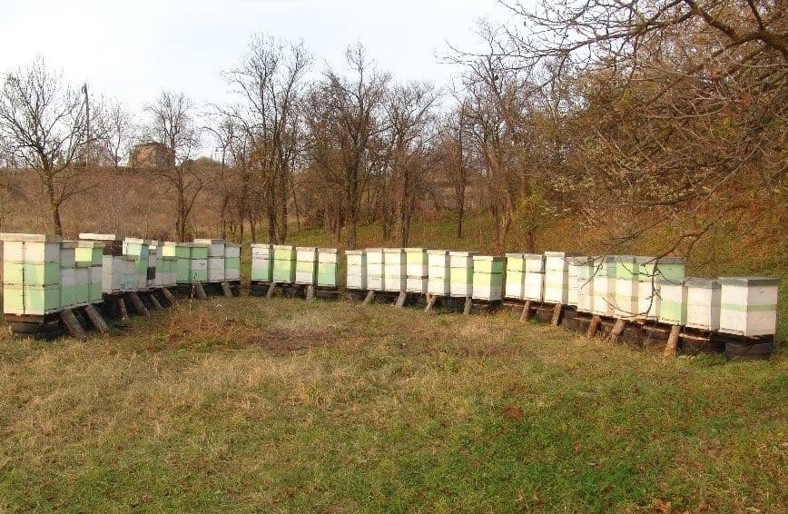 Radovi u pčelinjaku Radovi u pčelinjaku