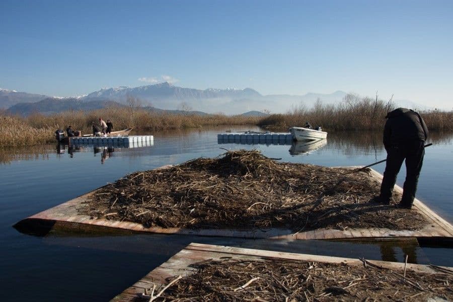 Pelikani stižu u maju Pelikani stižu u maju
