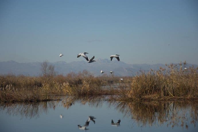 CZIP uz podršku Telekoma pomaže očuvanju ugroženih vrsta CZIP uz podršku Telekoma pomaže očuvanju ugroženih vrsta