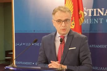 ODT: Formiran predmet u vezi sa šetnjom Danilovića